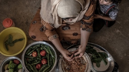 Hikûmeta Iraqê dengdana li ser qanûna piştevaniya bilez ji bo asayîşa xorakê da