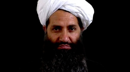  «ملا هبت الله»: طالبان از «قوم پرستی و زبان پرستی» خودداری کنند