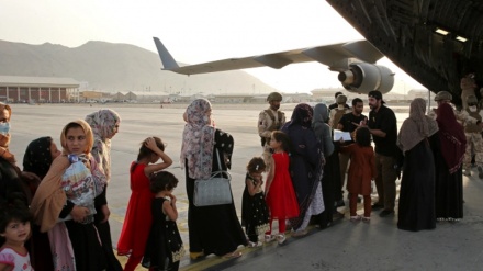 Taliban qadınların uçuşuna qadağa qoyub
