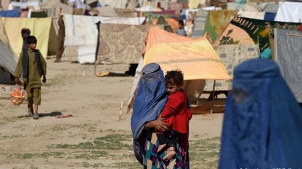  شمار آوارگان داخلی در افغانستان به 6 میلیون نفر رسید