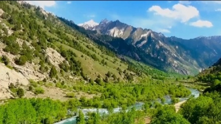 تجلیل از سالروز استقلال افغانستان از سوی حکومت