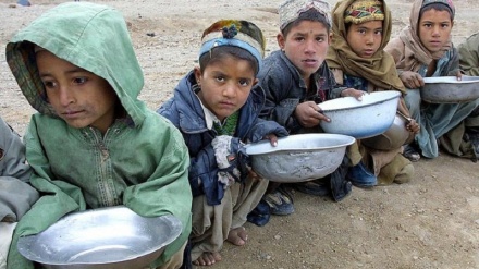 هماهنگ‌کننده سازمان ملل: یک نسل کامل افغان‌ها در خطر است