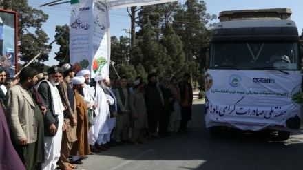  ارسال نخستین محموله صادراتی از غرب افغانستان به مقصد اروپا