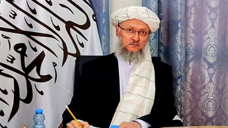 عبد السلام حنفی، نائب صدر؛ طالبان عبوری حکومت