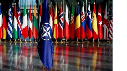 Finlandiya NATO-ya üzv olur - TƏHLİL