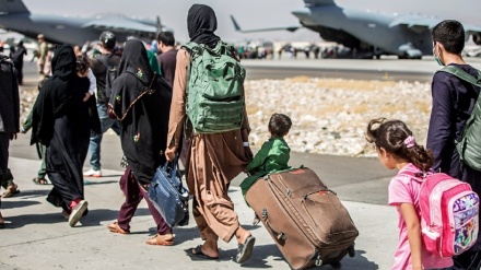  اشپیگل: آلمان طرح پذیرش سالانه ۵ هزار پناهجوی افغانستانی را بررسی می کند