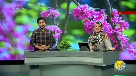 سماجی پروگرام ۔ زندگی سلام