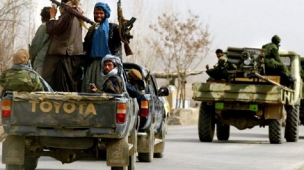 افغان طالبان نے پی ٹی ٹی کے 200 مسلح افراد کو گرفتار کر لیا
