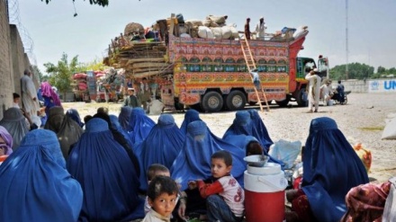 کمک 48 میلیون دلاری آمریکا به پاکستان برای حضور پناهجویان افغان