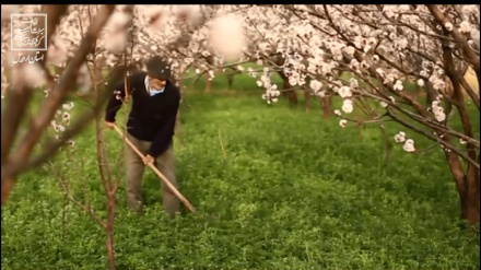 کیا اربیل کے اس خوبصورت منظر کو آپ نے دیکھا؟