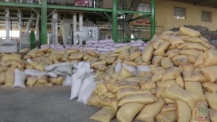 ساخت نخستین کارخانه تولید خوراک دام در شمال افغانستان