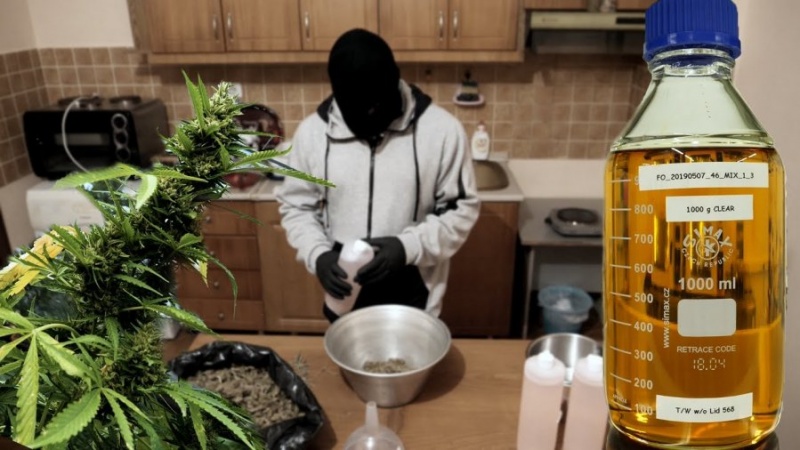 Grabitet fabrika e prodhimit të marijuanës