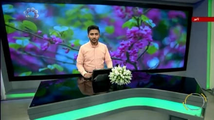 سماجی پروگرام ۔ زندگی سلام