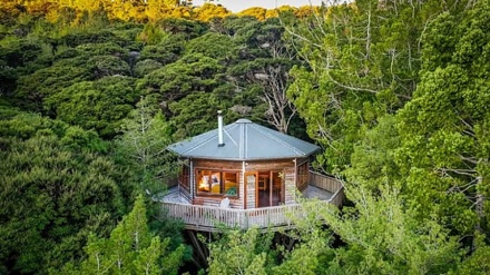 درخت پر زندگی+ ویڈیو