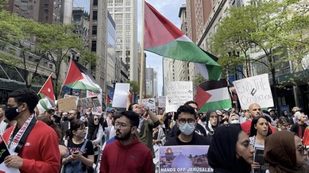 اسرائیلی جارحیت کے خلاف یورپی ممالک میں مظاہرے، مظاہرین فلسطین کا پرچم اٹھا کر پارلیمنٹ کی عمارت میں داخل