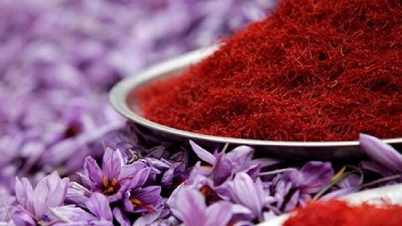 کاهش 30 درصدی محصول زعفران در افغانستان