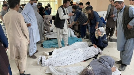 کابل کے شیعہ نشین محلے میں ہونے والے دہشتگردانہ دھماکے پر رد عمل جاری 