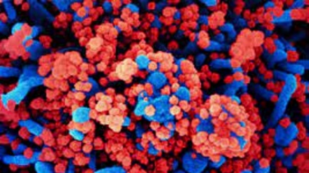 Maqedonia e Veriut heq kufizimet kundër COVID