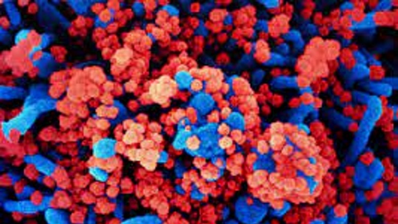 Maqedonia e Veriut heq kufizimet kundër COVID