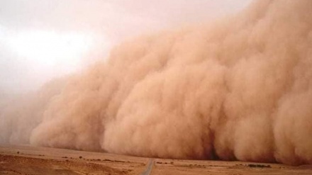  Ji ber tozbarînê, 10 kesan li Dêrazora Sûriyê canê xwe ji dest da