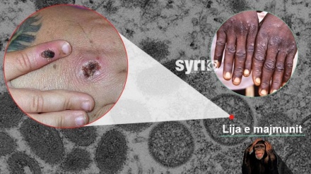 Belgjika vendos karantinën e detyruar, ekspertët: Jemi të befasuar