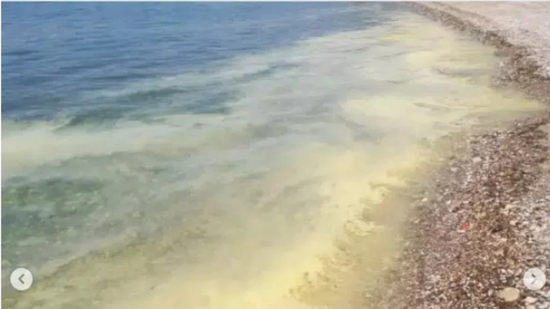 Zverdhet deti, çfarë po ndodh në plazhet e Patras?