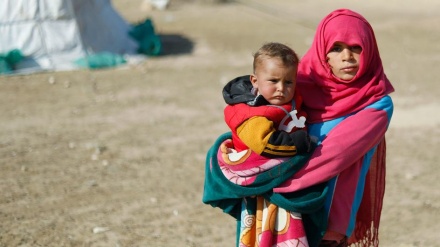 ڕوانگەی سوری: زۆرینەی خەڵکی حەسەکە بەهۆی بۆردومانەکانی تورکیاوە ئاوارەبوون