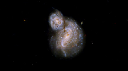 Teleskopa Hubble'ê wêneya coteke komstêrkên balkêş bi reşçalên gelekî mezin kişand