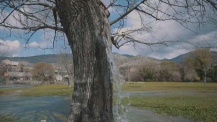 Fshati shqiptar në Mal të Zi që u bë fenomen 