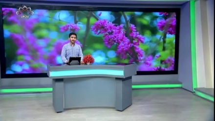 سماجی پروگرام ۔ زندگی سلام