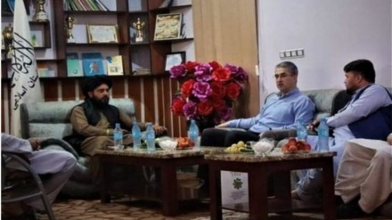  هرات آماده میزبانی مسابقات ملی و بین‌المللی است