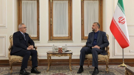 بحیرہ اسود اقتصادی تعاون تنظیم کے سربراہ کی وزیر خارجہ ایران سے ملاقات