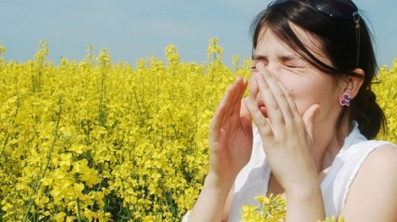 Tre metoda të thjeshta për tu bërë ballë alergjive të pranverës