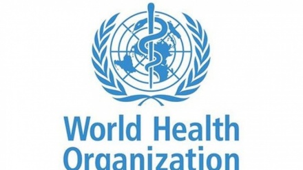     Organizata Botërore e Shëndetësisë paralajmëron për hepatit të panjohur