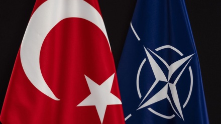 NATO-nun Türkiyəyə, islam dünyasına hansısa xeyiri olubmu?