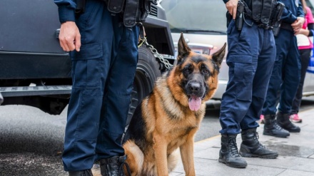 Serbia zbulon shtetet prej nga i kanë ardhur kërcënimet për bomba