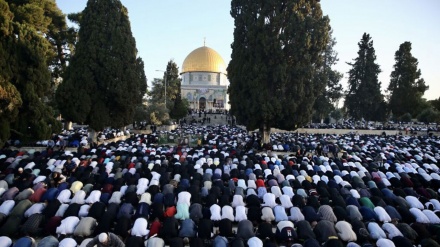 مسجدالاقصی میں نماز جمعہ کا روح پرور اجتماع، 30 ہزار فلسطینی سر بسجود