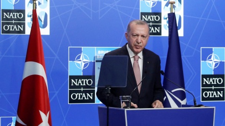 Zašto Turska ne želi Švedsku u NATO savezu?