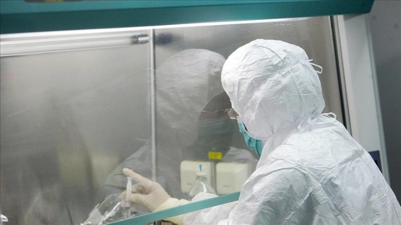 Lia e majmunit: Katër pyetjet themelore që shkencëtarët nuk kanë përgjigje