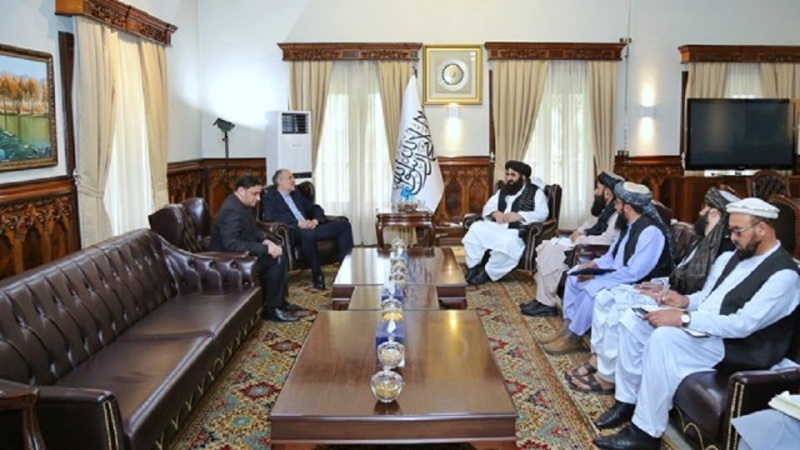 دیدار سفیر ایران با وزیر خارجه طالبان/ایران آماده همکاری برای کشت جایگزین است