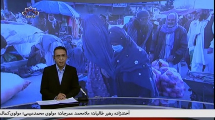 خبرشامگاهی 1401/03/06