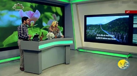 سماجی پروگرام ۔ زندگی سلام