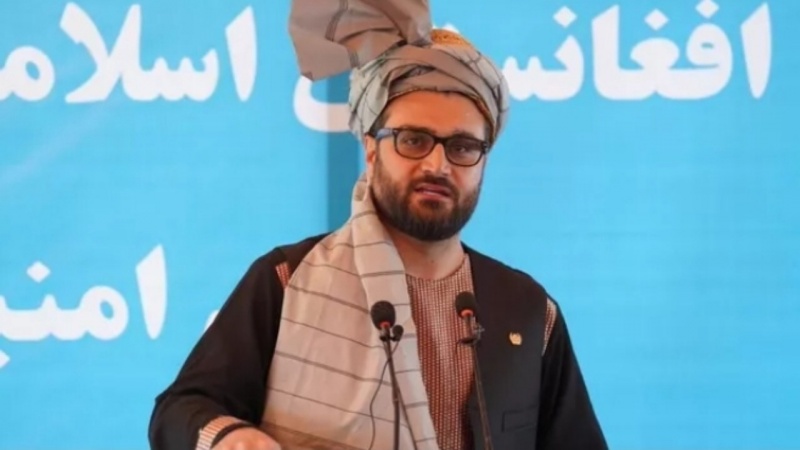 «حمدالله محب» از مردم افغانستان عذرخواهی کرد