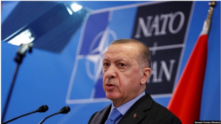 Erdogan nuk e ndryshon qëndrimin ndaj Finlandës dhe Suedisë