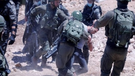 Forcat ushtarake të regjimit sionist arrestojnë 13 palestinezë