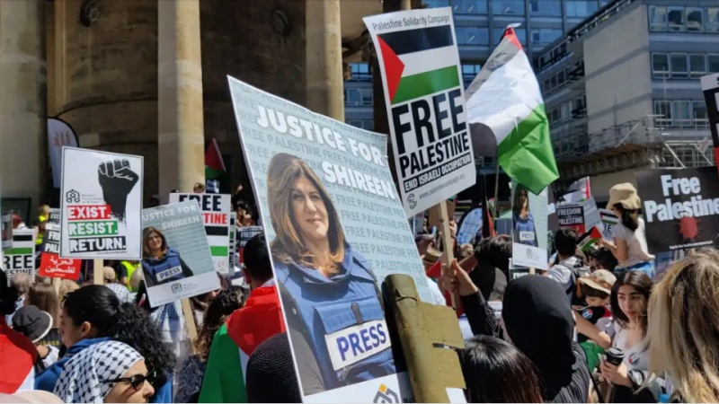 یوم النکبہ پر لندن، پیرس، ویانا سمیت مختلف جگہوں پر فلسطین کی حمایت میں مظاہرہ
