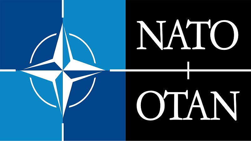 Avropa Parlamentinin üzvü: NATO Amerika tərəfindən Avropaya rəhbərlik etmək üçün bir vasitədir