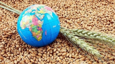 یورپ میں خوراک کے بحران کا خطرہ بڑھ گیا
