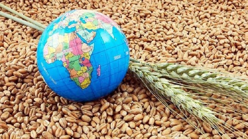 یورپ میں خوراک کے بحران کا خطرہ بڑھ گیا