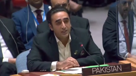 پاکستان نے زوردار طریقے سے کشمیر اور فلسطین کا مسئلہ اٹھایا
